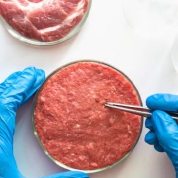 Meat sounding, Lollobrigida tra Coldiretti e Union Food