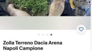 Napoli, zolle di campo della Dacia Arena
