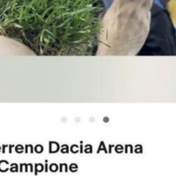 Napoli, zolle di campo della Dacia Arena