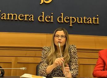 Agricoltura, Gadda, "Più resilienza con innovazione, tecnologia e investimenti"
