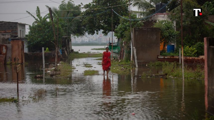 Crisi climatica: la corsa contro il tempo per istituire il fondo Loss and Damage