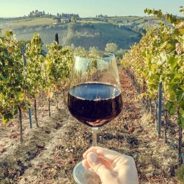 Mediobanca: “Settore vinicolo italiano in buona salute, ma attenzione ai consumi”