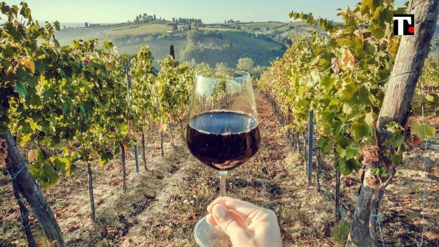 Mediobanca: “Settore vinicolo italiano in buona salute, ma attenzione ai consumi”