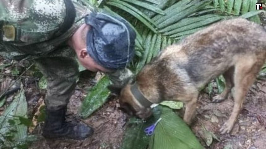 Colombia, incidente aereo