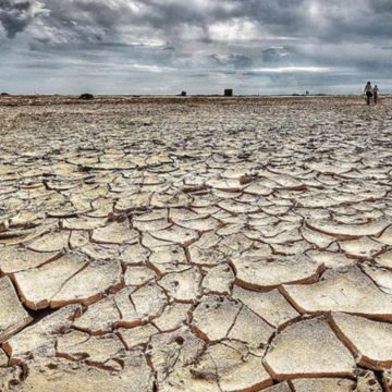 Benvenuti nella sesta estinzione di massa