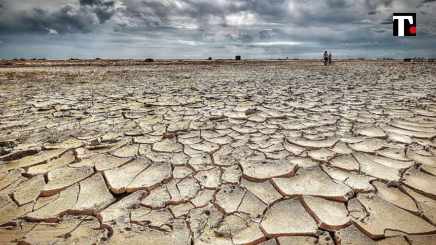 Benvenuti nella sesta estinzione di massa