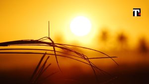 Allerta caldo cosa indicano bollini