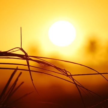 Allerta caldo cosa indicano bollini