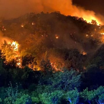 incendi sicilia