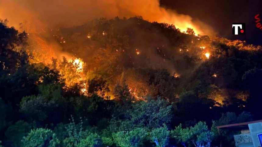 incendi sicilia