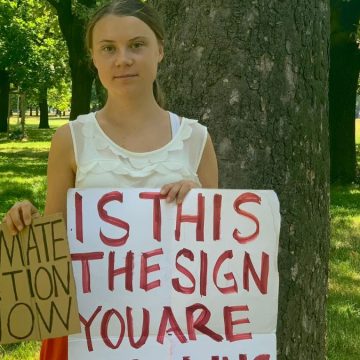 Palestina Greta Thunberg emergenza Perché tutti i movimenti progressisti riempiono le piazze pro-Palestina? E che rischi ci sono nel confondere antisionismo e antisemitismo? Ne parliamo col professor Andrea Molle.