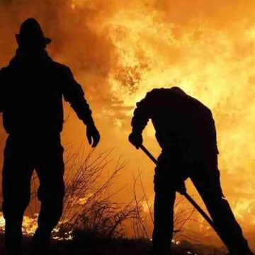 Sicilia, incendi