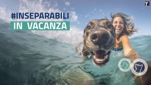 Abbandono degli animali