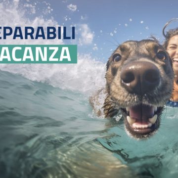 Abbandono degli animali