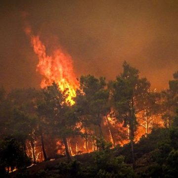 Rodi, incendio