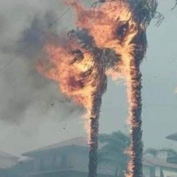 Sicilia, incendi