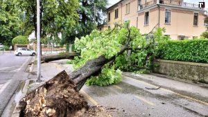 Allerta meteo