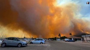 Sardegna, incendi