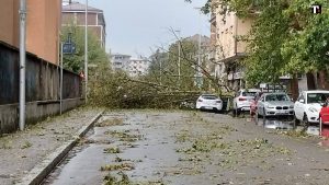 Allerta meteo