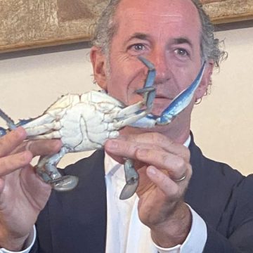 Granchio blu