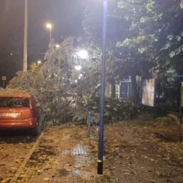 Maltempo a Torino