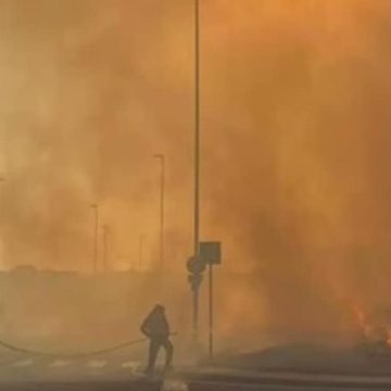 Incendi in Sardegna