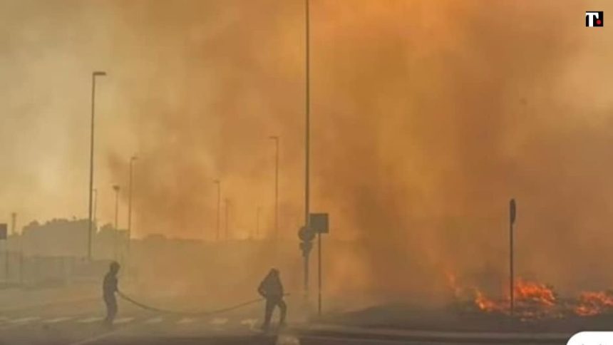 Incendi in Sardegna