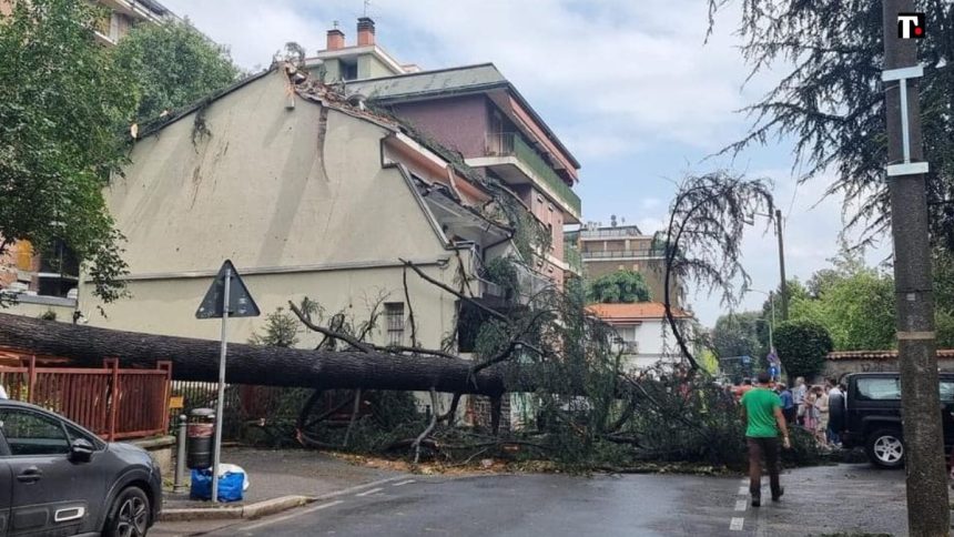 Allerta meteo