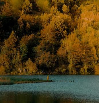 example-460 'Scatta il bosco Pefc', un contest per le foto delle foreste d'Italia