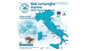 Boom di nidi di tartaruga marina in Italia, 2023 anno record