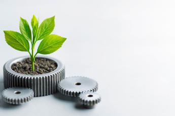 example-718 Strategia e trasparenza, il “Manifesto di Sostenibilità” di Industrie Chimiche Forestali