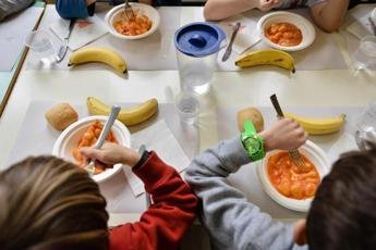 Alimentazione: Schillaci, 'educazione nelle scuole e investire in prevenzione'