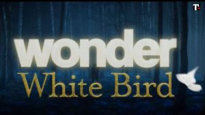 Wonder- White Bird