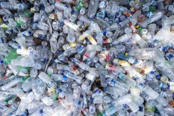 example-119 Rifiuti, imballaggi compostabili: a Ecomondo i risultati del modello italiano di riciclo organico