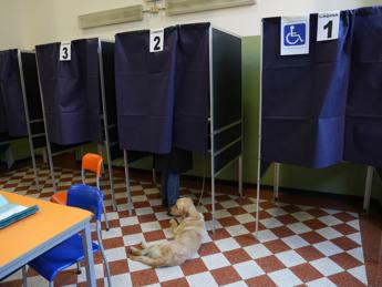 Sondaggi politici, Fratelli d'Italia verso 30%: Pd lontano