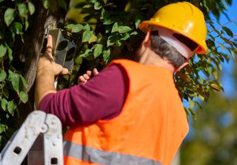 Prospettiva terra:,così il network installerà i sensori nella Biblioteca degli Alberi Milano