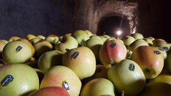 Trentino, una nuova funivia per trasportare le mele