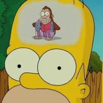 Ignoro ergo sum: come un limite è diventato un valore