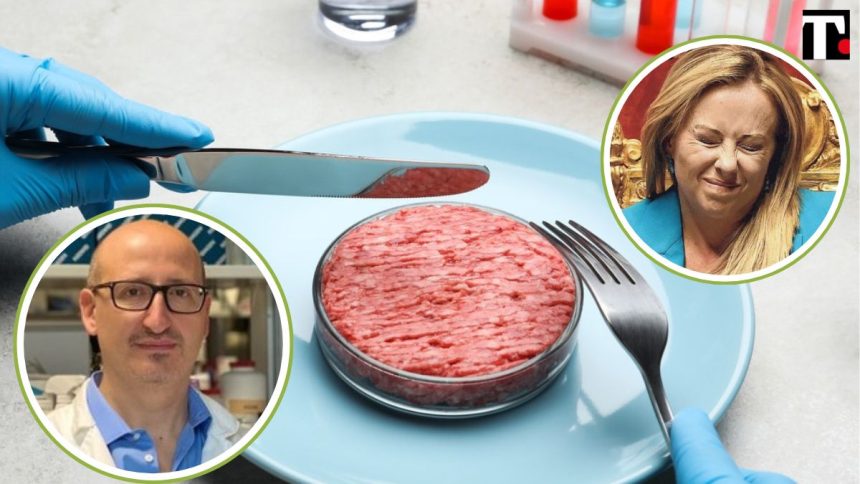 Stop carne coltivata: come il Governo e Slow Food mettono a stecchetto il futuro alimentare e ambientale