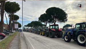 Gli agricoltori scendono in piazza. Ma non chiamateli Forconi