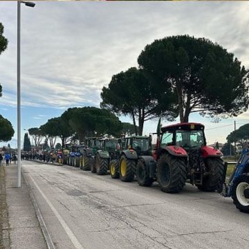 Gli agricoltori scendono in piazza. Ma non chiamateli Forconi