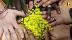 Festa delle donne con il bonus mamme? No, le solite mimose e.. un bel gelato