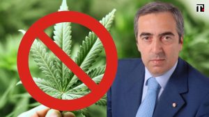 Gasparri, legalizzare la cannabis è un’idiozia