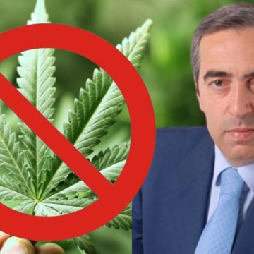Gasparri, legalizzare la cannabis è un’idiozia