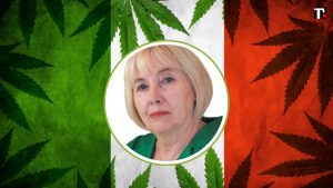 Cannabis libera, Zanella (AVS): “Seguiamo Berlino e contrastiamo le mafie”