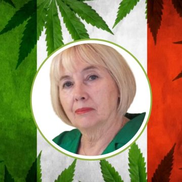 Cannabis libera, Zanella (AVS): “Seguiamo Berlino e contrastiamo le mafie”