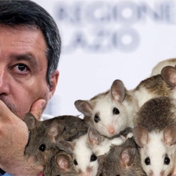 Salvini ci pensa sorci: rende "abitabili" topaie da 20 mq e la considera pure una vittoria