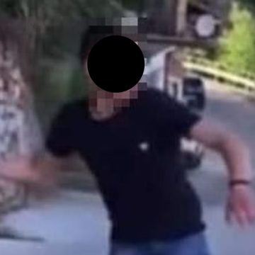 Animali maltrattati