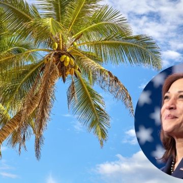 kamala-harris-albero-cocco