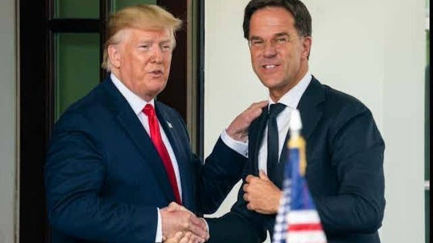 Donald Trump e Mark Rutte Il 5% del Pil dei Paesi europei per la difesa: la vittoria di Trump al vertice Nato